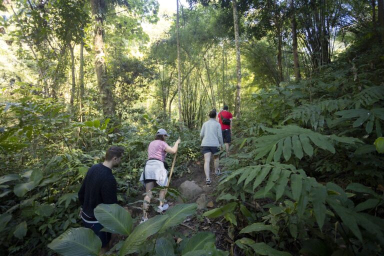 Jungle trek near the Mae Taeng